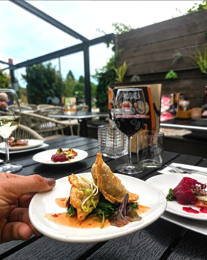 Gyoza met een glas wijn op het terras van Rodaen in Bunnik